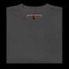 ZENJI (善司) and HOKU (彗) Premium Unisex Oversized Faded T-shirt