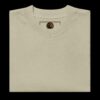 ZENJI (善司) and HOKU (彗) Premium Unisex Oversized Faded T-shirt